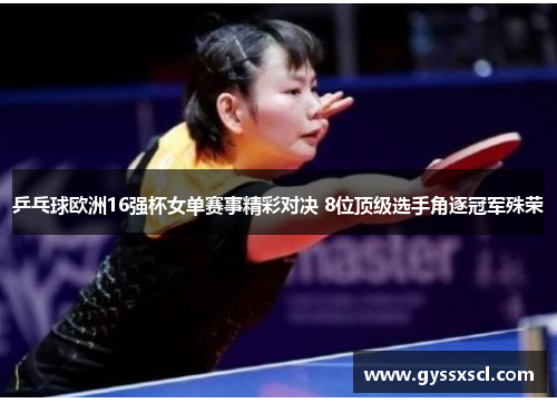 乒乓球欧洲16强杯女单赛事精彩对决 8位顶级选手角逐冠军殊荣