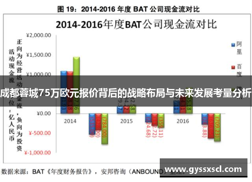 成都蓉城75万欧元报价背后的战略布局与未来发展考量分析