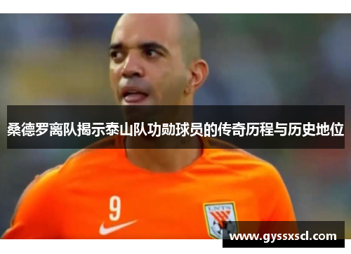 桑德罗离队揭示泰山队功勋球员的传奇历程与历史地位