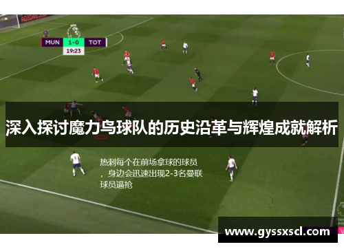 深入探讨魔力鸟球队的历史沿革与辉煌成就解析