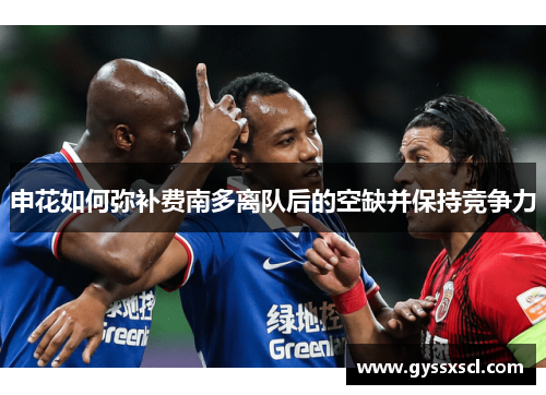 申花如何弥补费南多离队后的空缺并保持竞争力