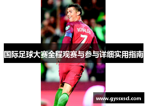 国际足球大赛全程观赛与参与详细实用指南